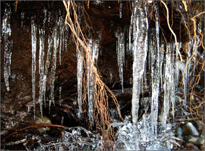 Icicles