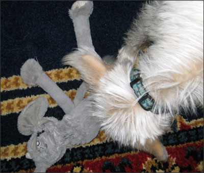 eviscerated elephant