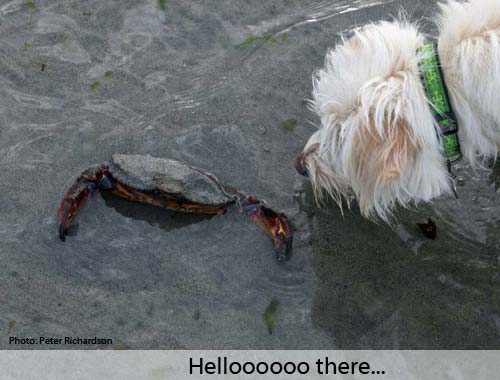 Helloooooo there!